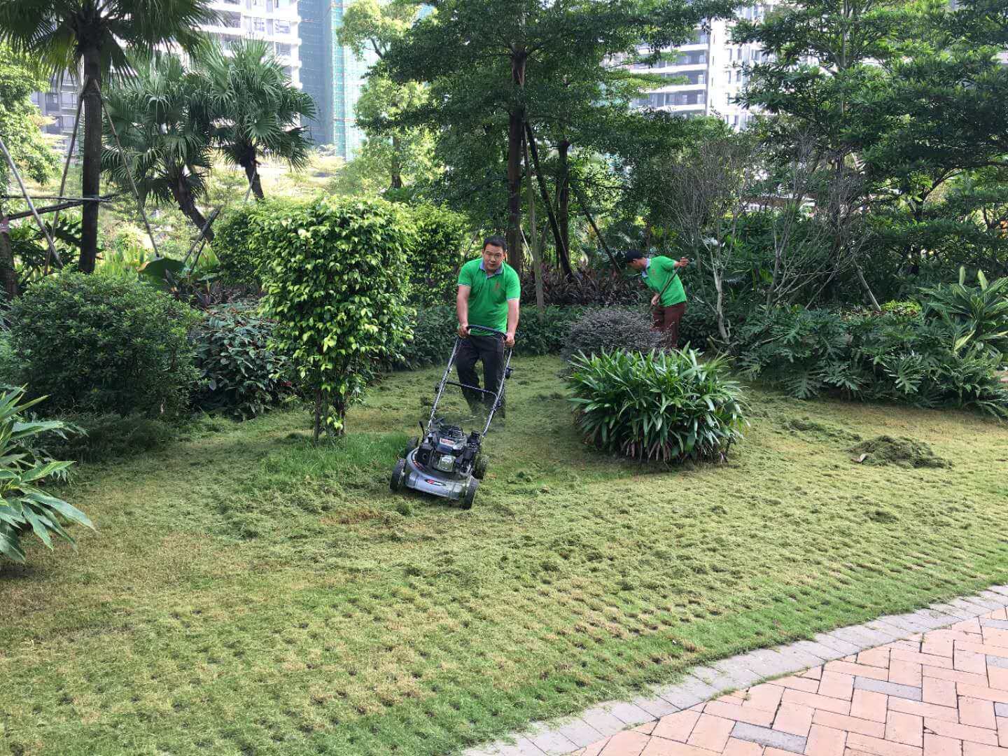 怡軒園林綠化公司二級養護標準