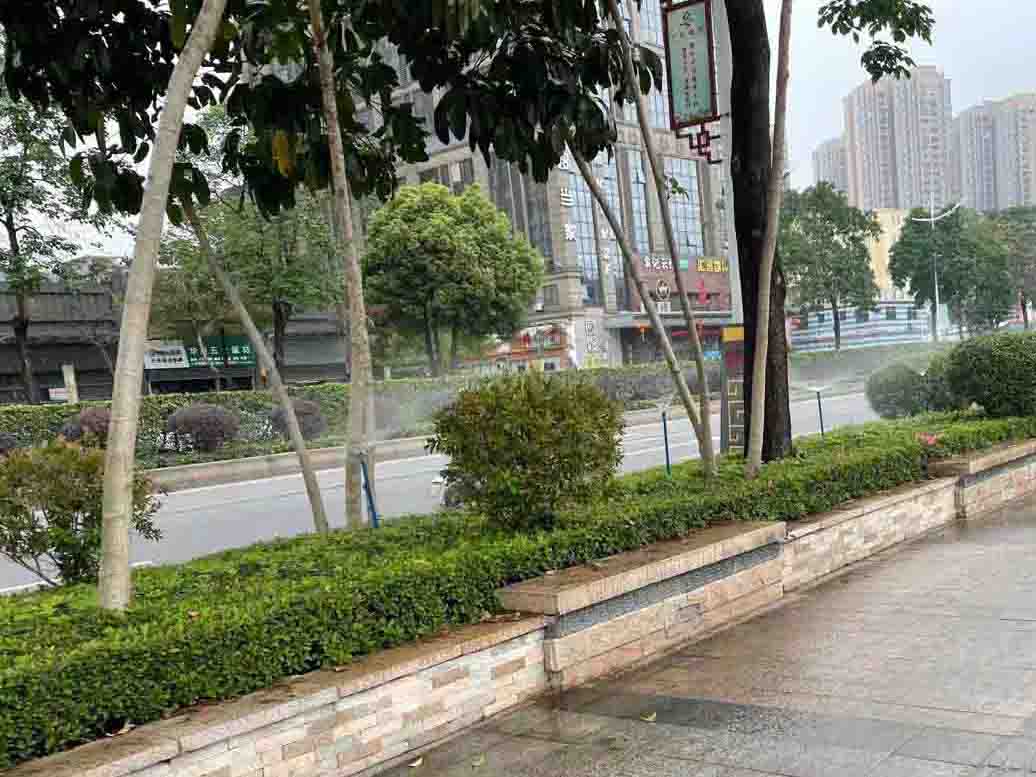 園林綠化公司道路綠化養(yǎng)護