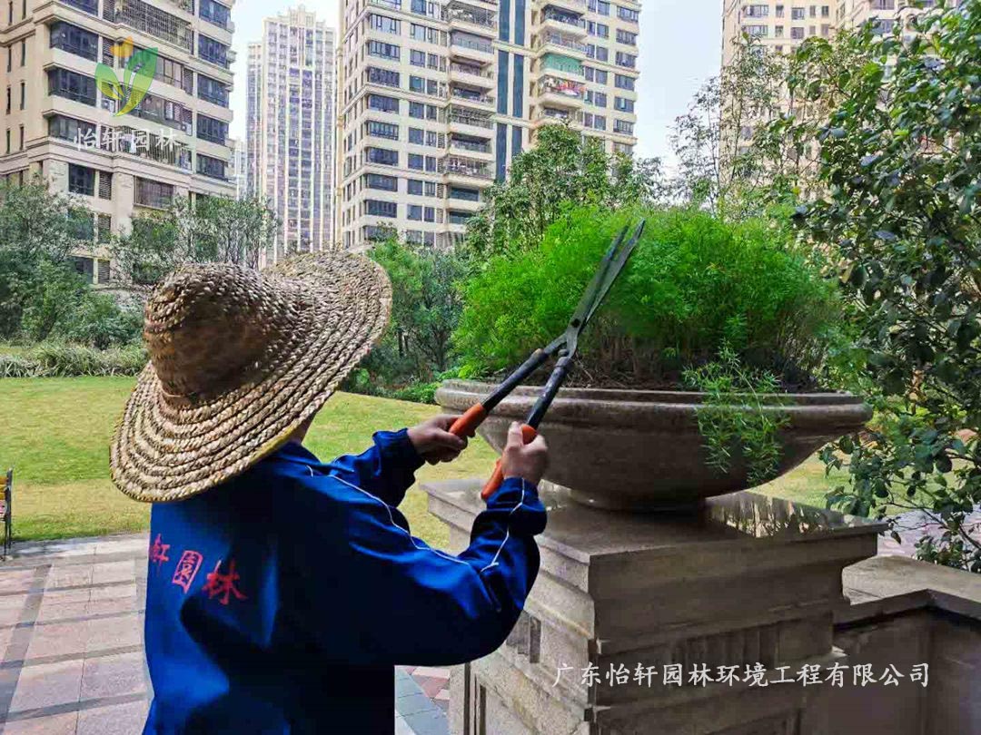 深圳佳兆業集團旗下水岸新都小區綠化養護