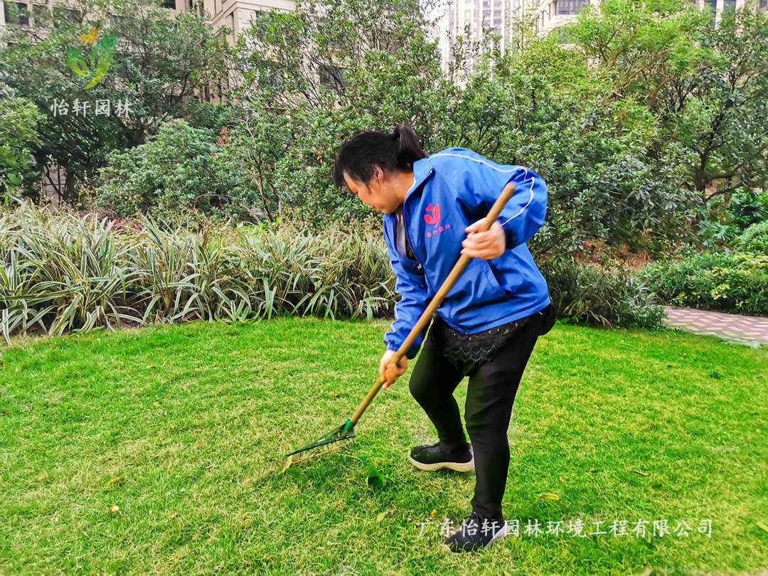 深圳佳兆業集團旗下水岸新都小區綠化養護