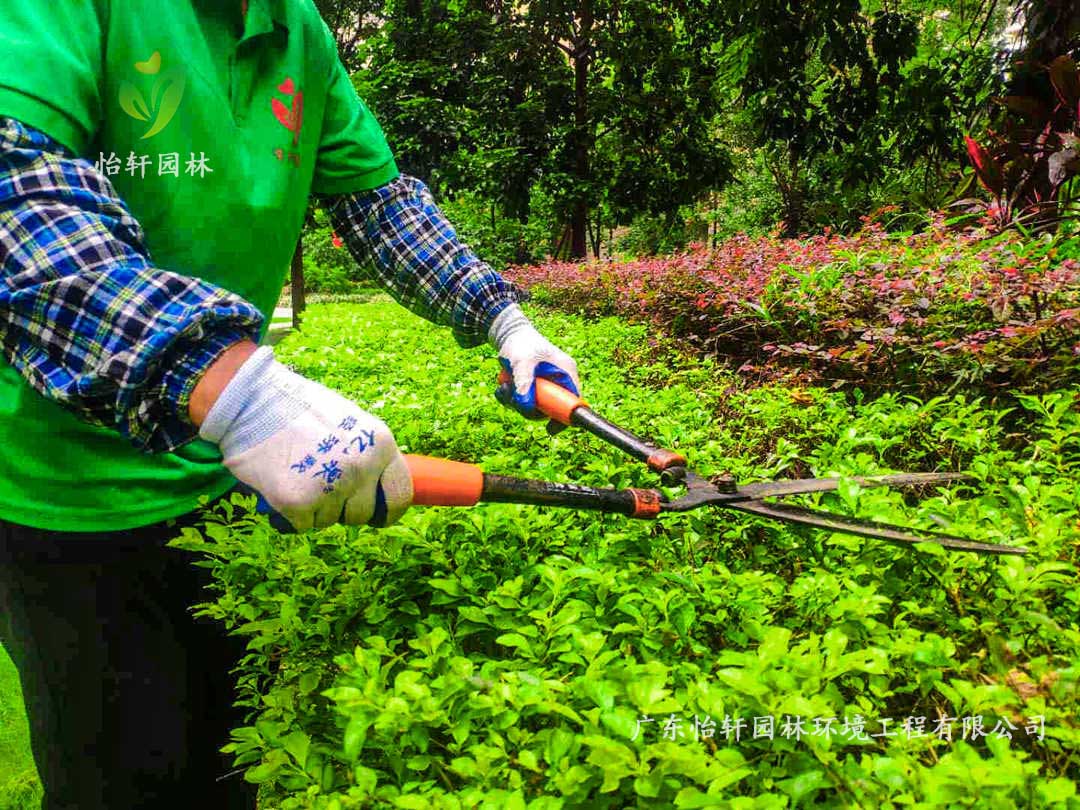 廣州御湖名邸小區綠化養護
