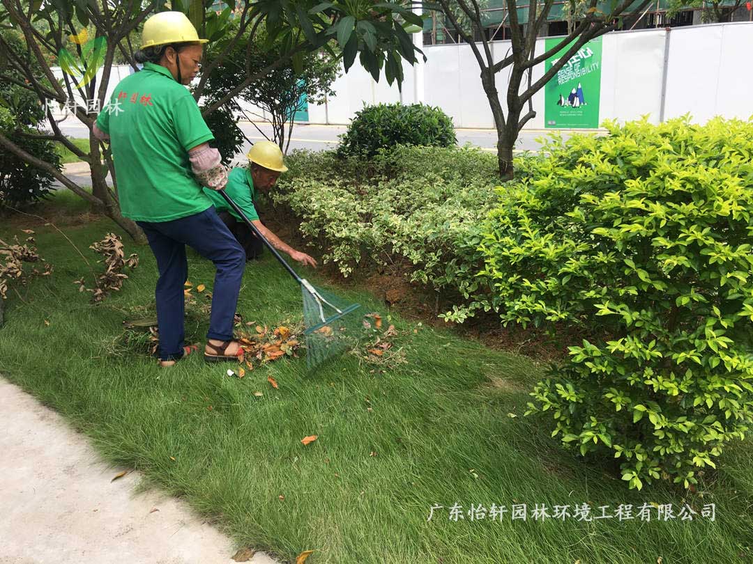 廣州御湖名邸小區綠化養護