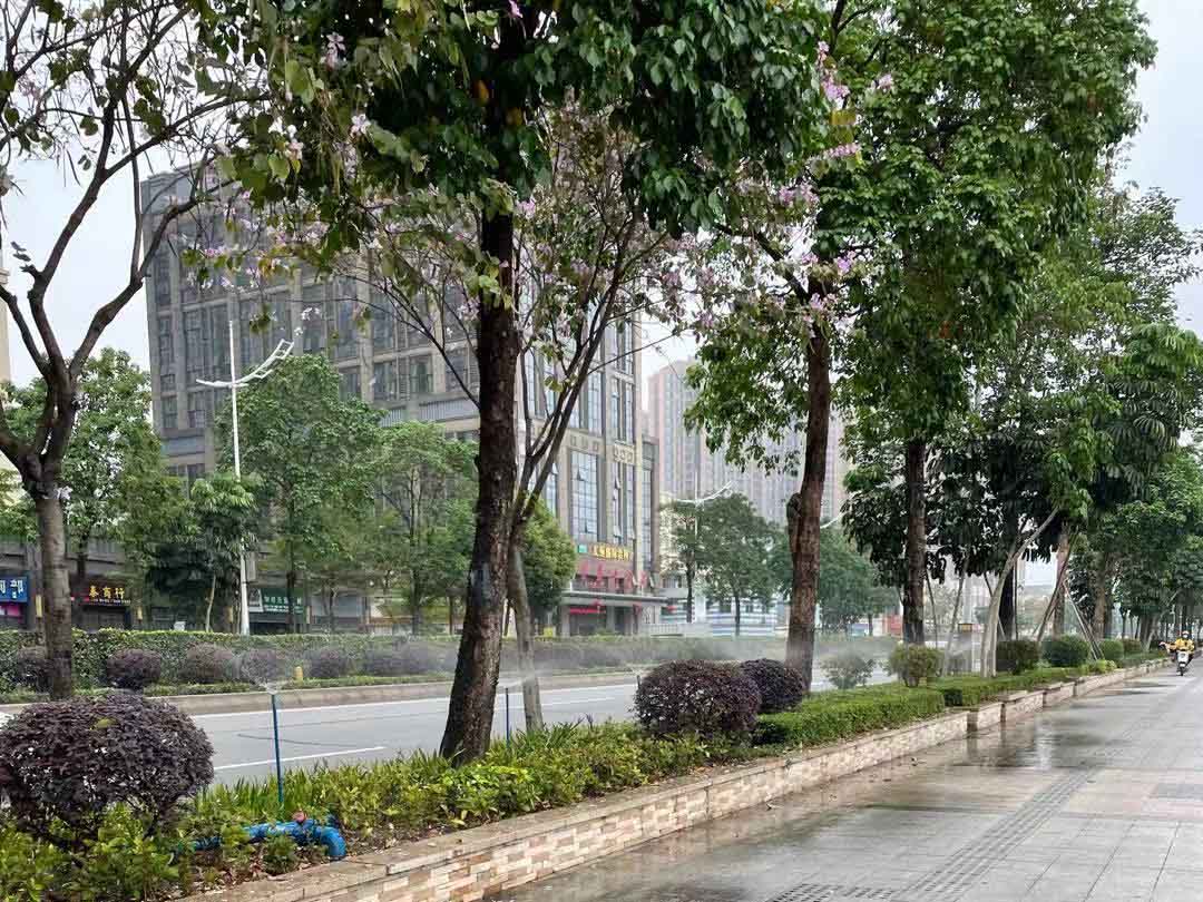 綠化養護行道樹澆灌