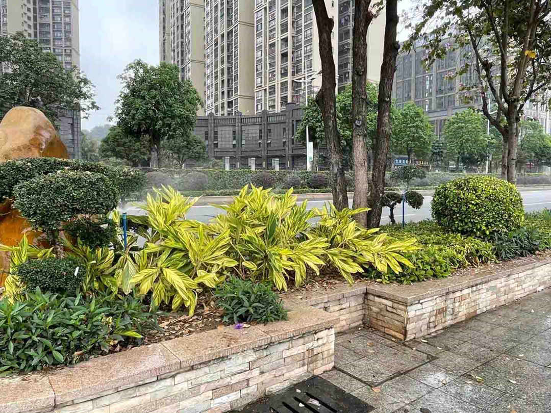 綠化養護澆灌