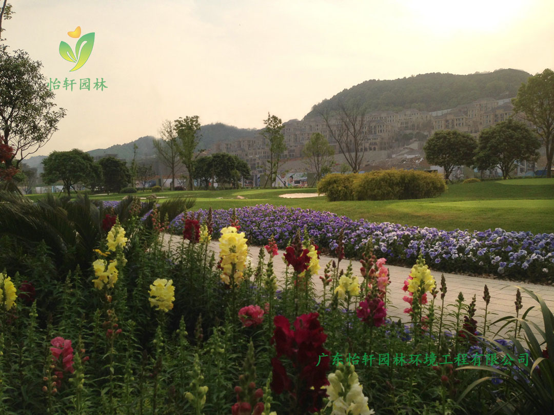 南山復地山與城別墅小區綠化工程實景圖