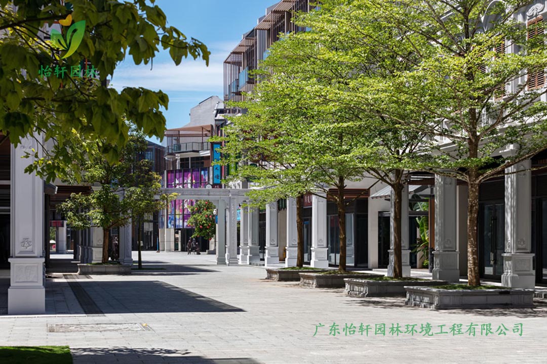 文昌南洋美麗匯商業街綠化工程實景圖