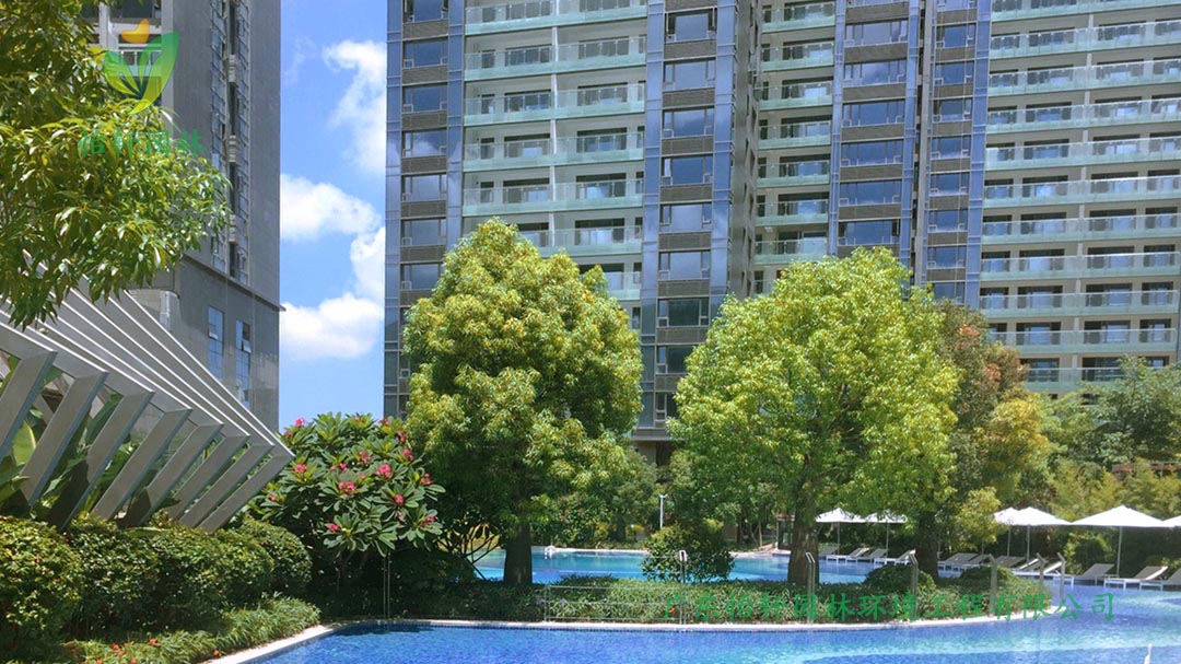 怡軒園林深圳博林天瑞小區綠化景觀設計實景圖