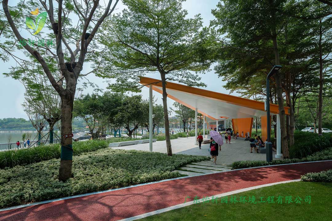 東莞龍灣生態濕地公園綠化景觀設計實景圖