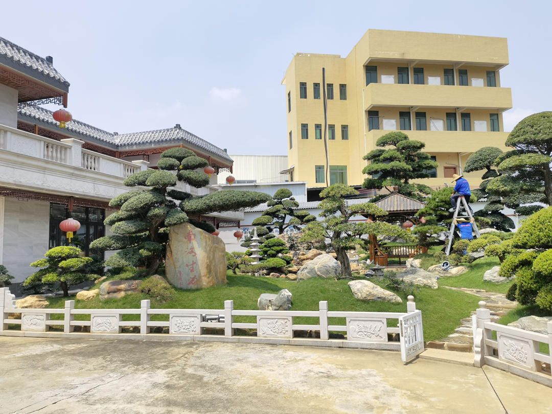 怡軒園林綠化養(yǎng)護工作
