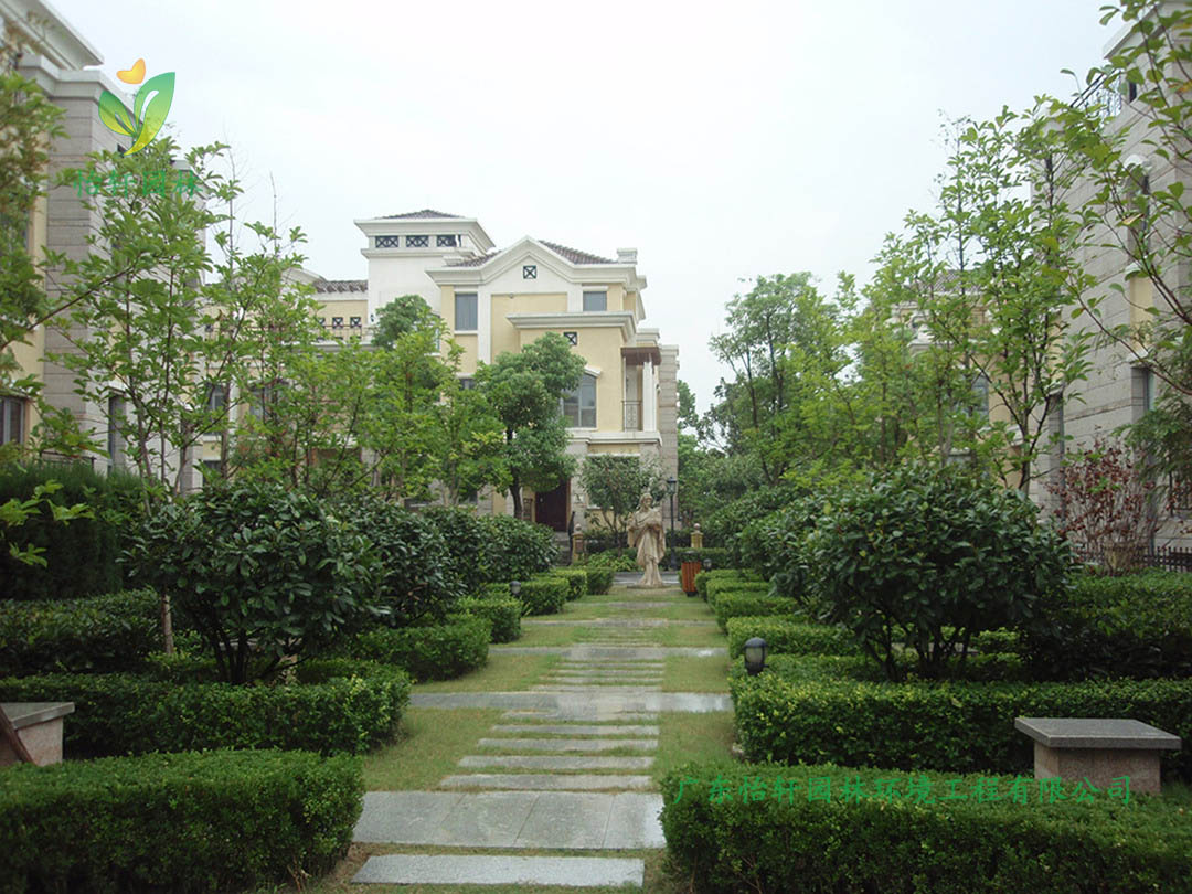 碧桂園華府別墅綠化景觀設(shè)計實景圖