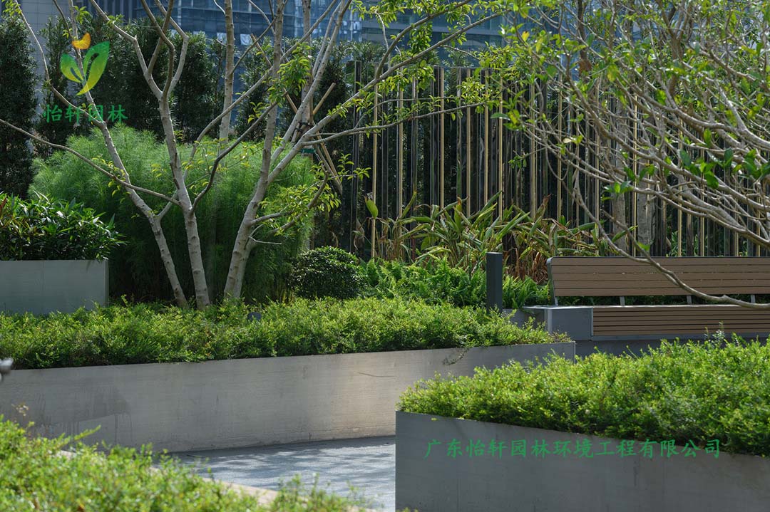深圳萬象天地商業街花園綠化工程實景圖