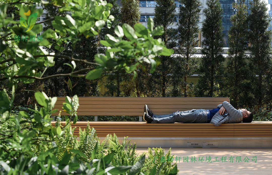 深圳萬象天地商業街花園綠化工程實景圖