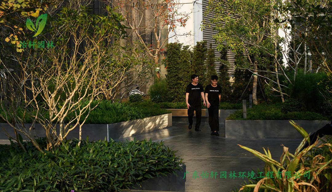 深圳萬象天地商業街花園綠化工程實景圖