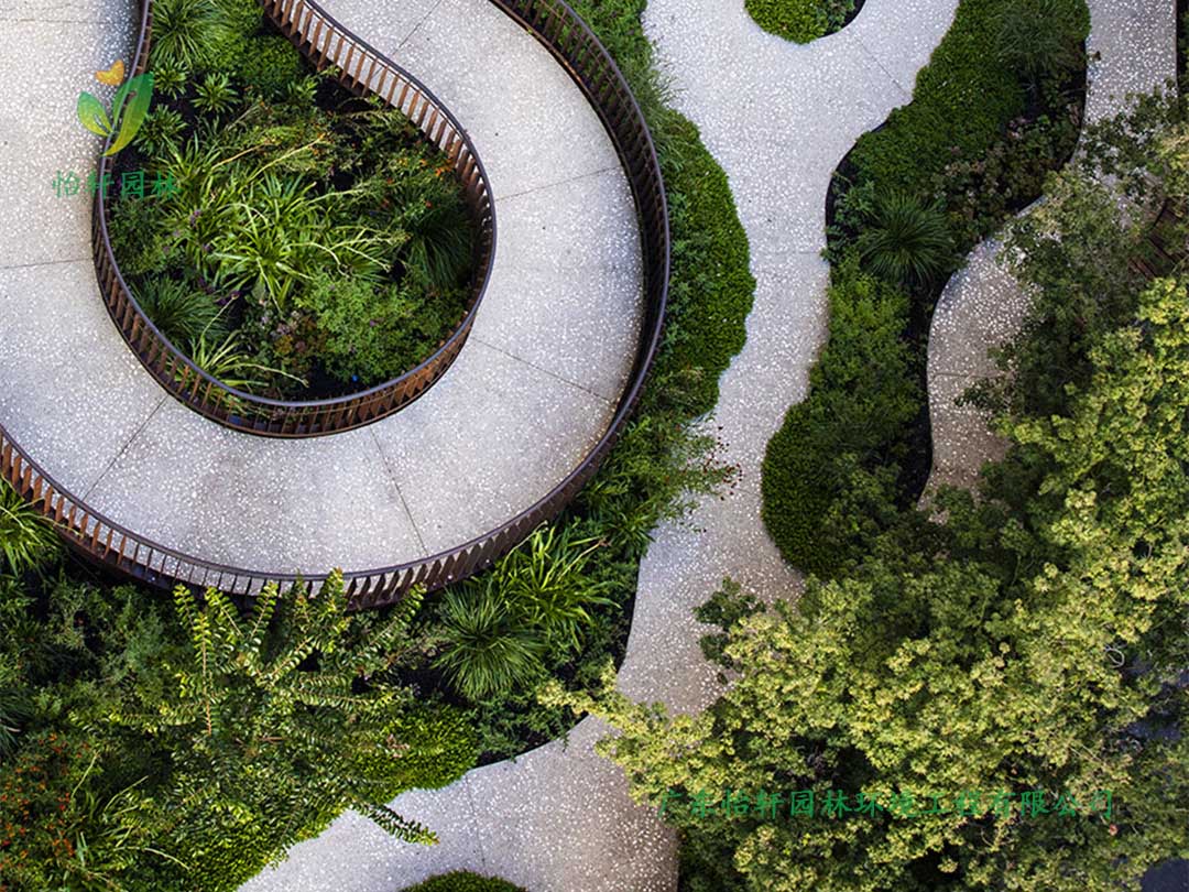 天河智慧城商業街小花園綠化工程實景圖