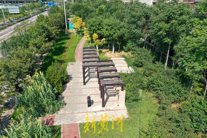 山東濟南將打造“推窗見綠、出門進園”的綠化特色街區