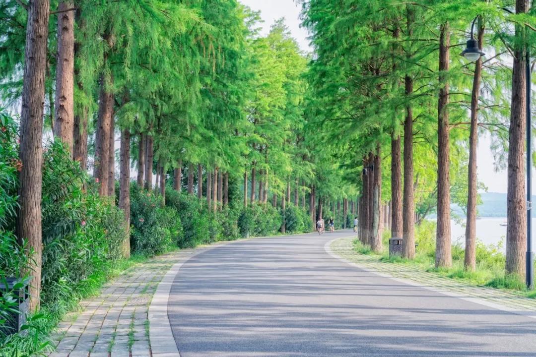 道路綠化工程施工設計