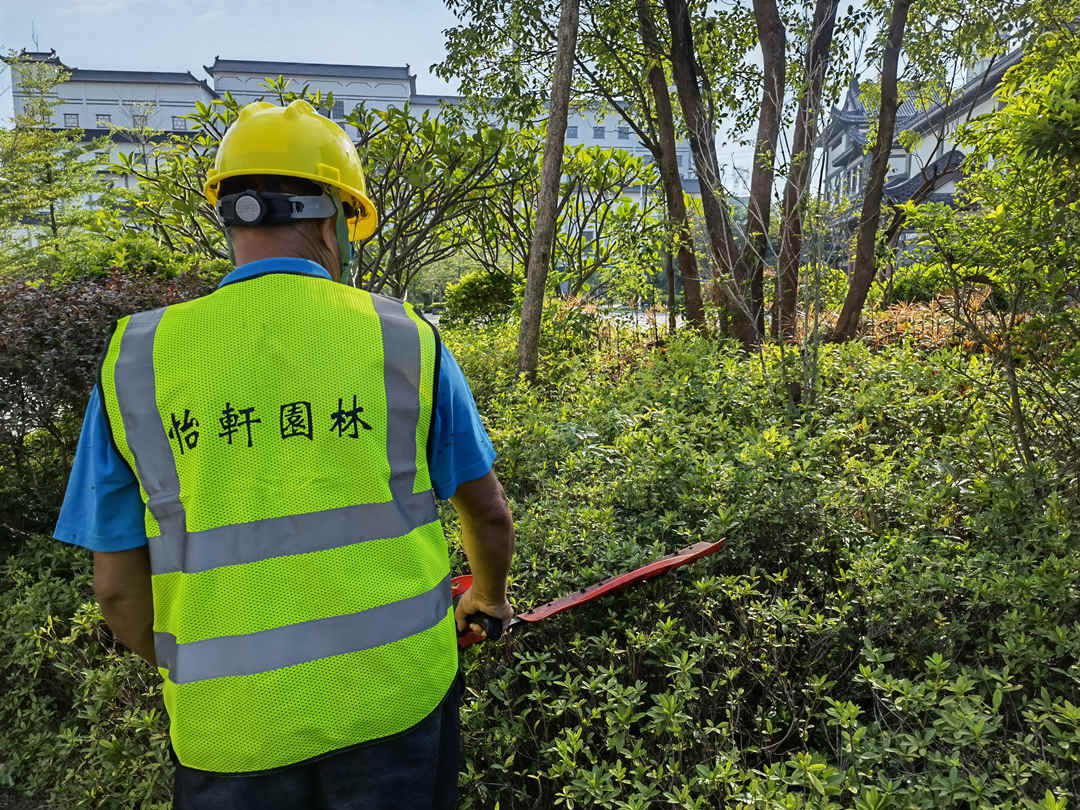 綠化養護修剪