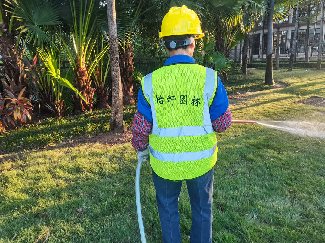 觀湖園小區冬季綠化養護澆凍水