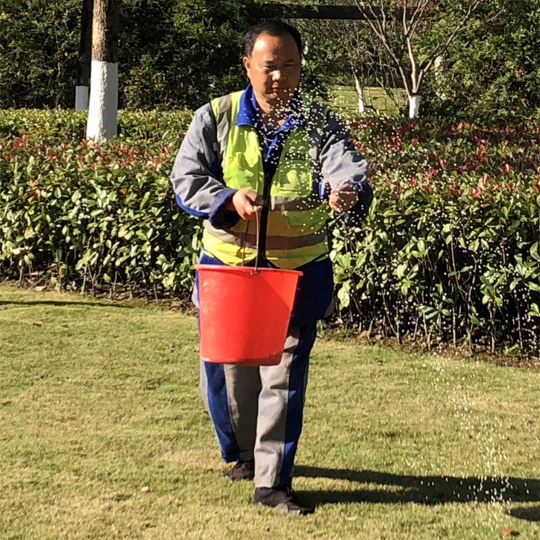 春季綠化養護施肥日常