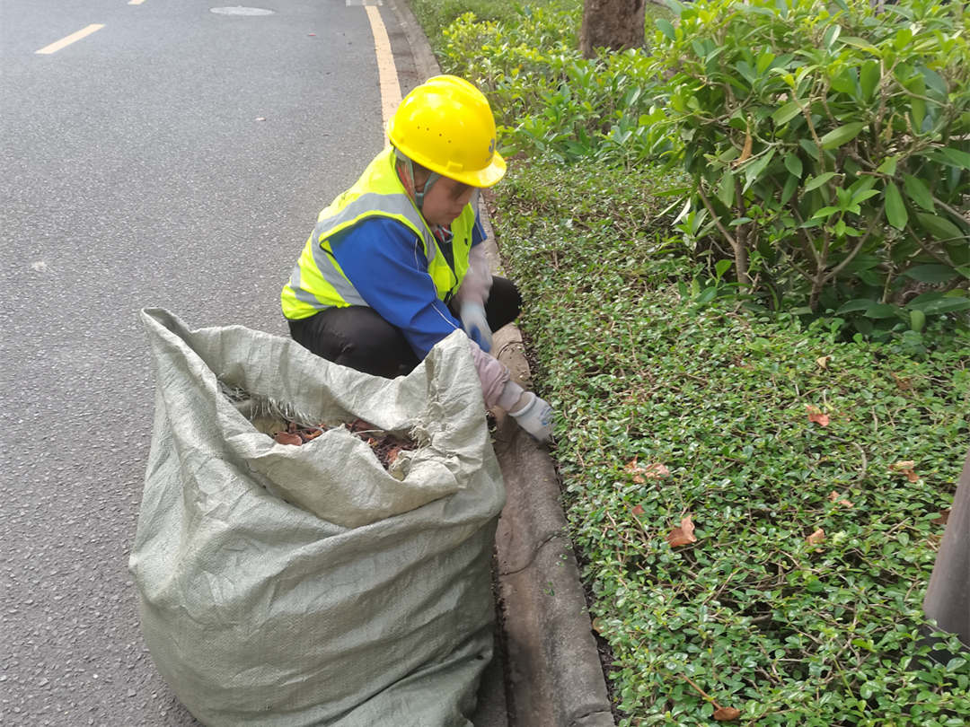 園林綠化養護清理垃圾