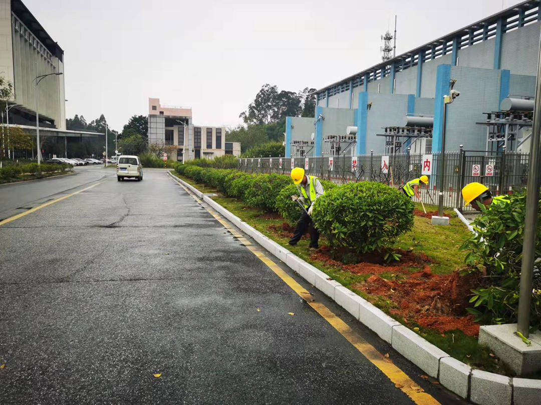 廠區園林綠化養護松土施肥