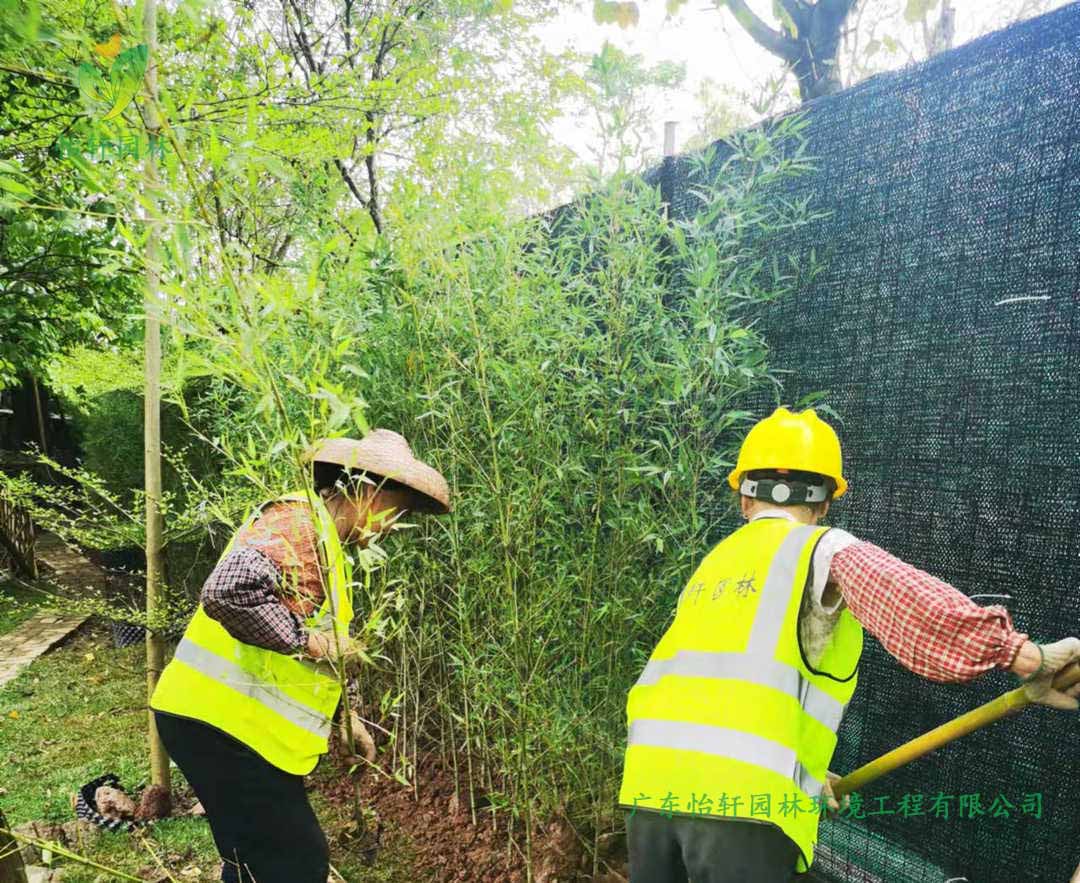 番禺露營基地綠化工程種植現場