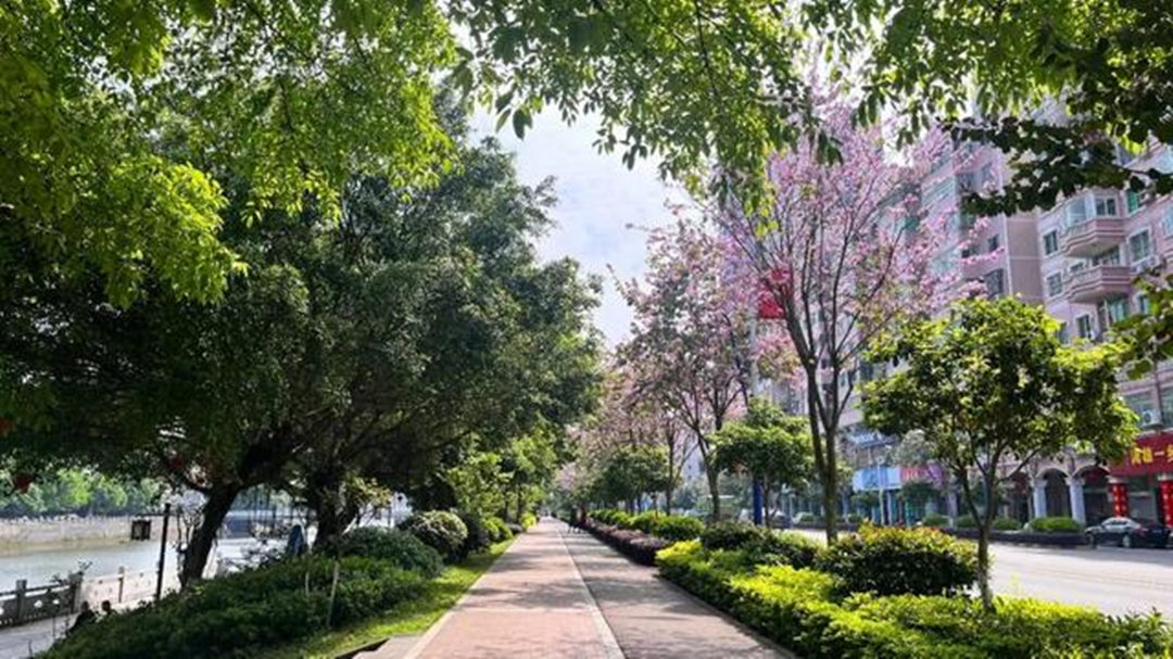 南雄：以創建國家森林城市為抓手 共建美麗宜居城市