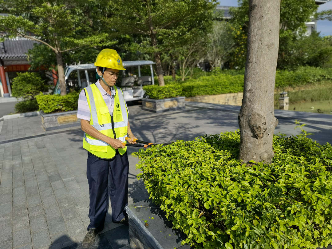 怡軒園林綠化公司工人在高溫酷暑下作業
