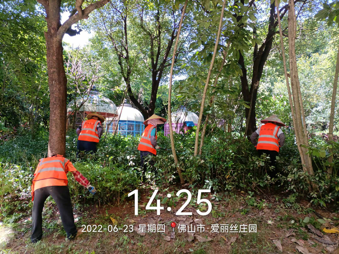美的鷺湖度假區綠化養護