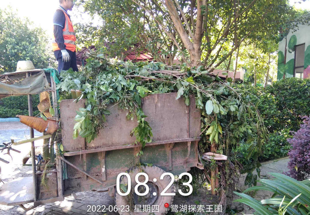 園林綠化養護工人正在清理枝葉