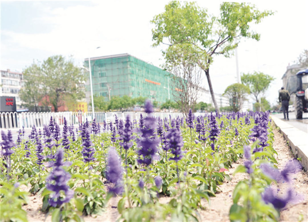 吉林省延吉市：積極加快推進(jìn)城市園林綠化提升工程，迎接延邊建州70周年！