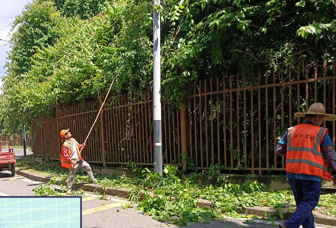 園林綠化養護工人正在清理樹枝