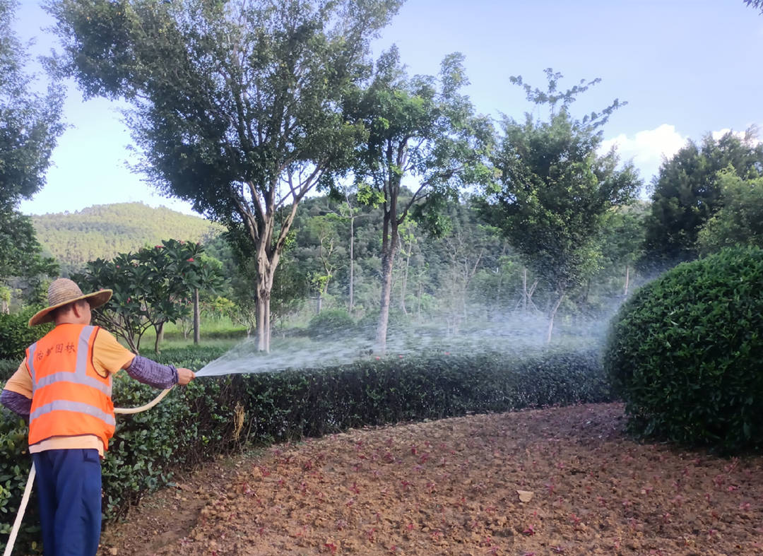 八月份園林綠化養護澆水