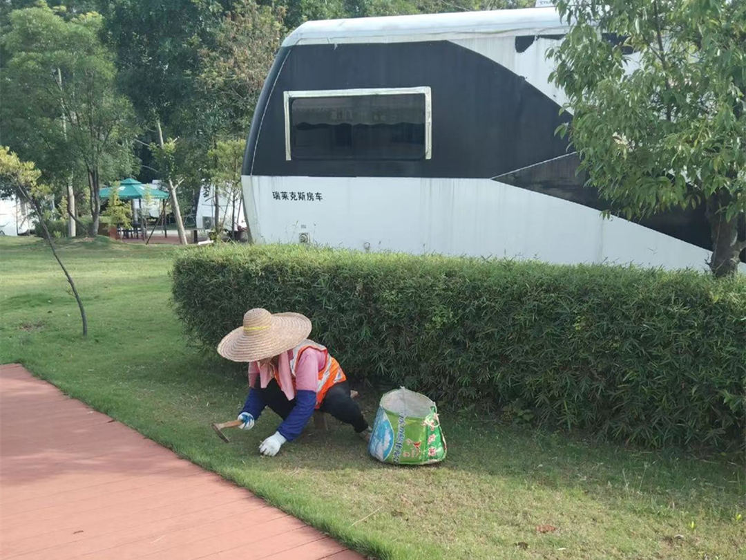 美的鷺湖景區秋季綠化養護