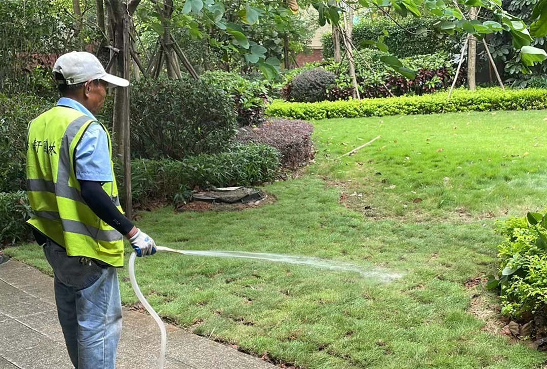 秋季綠化養護澆水
