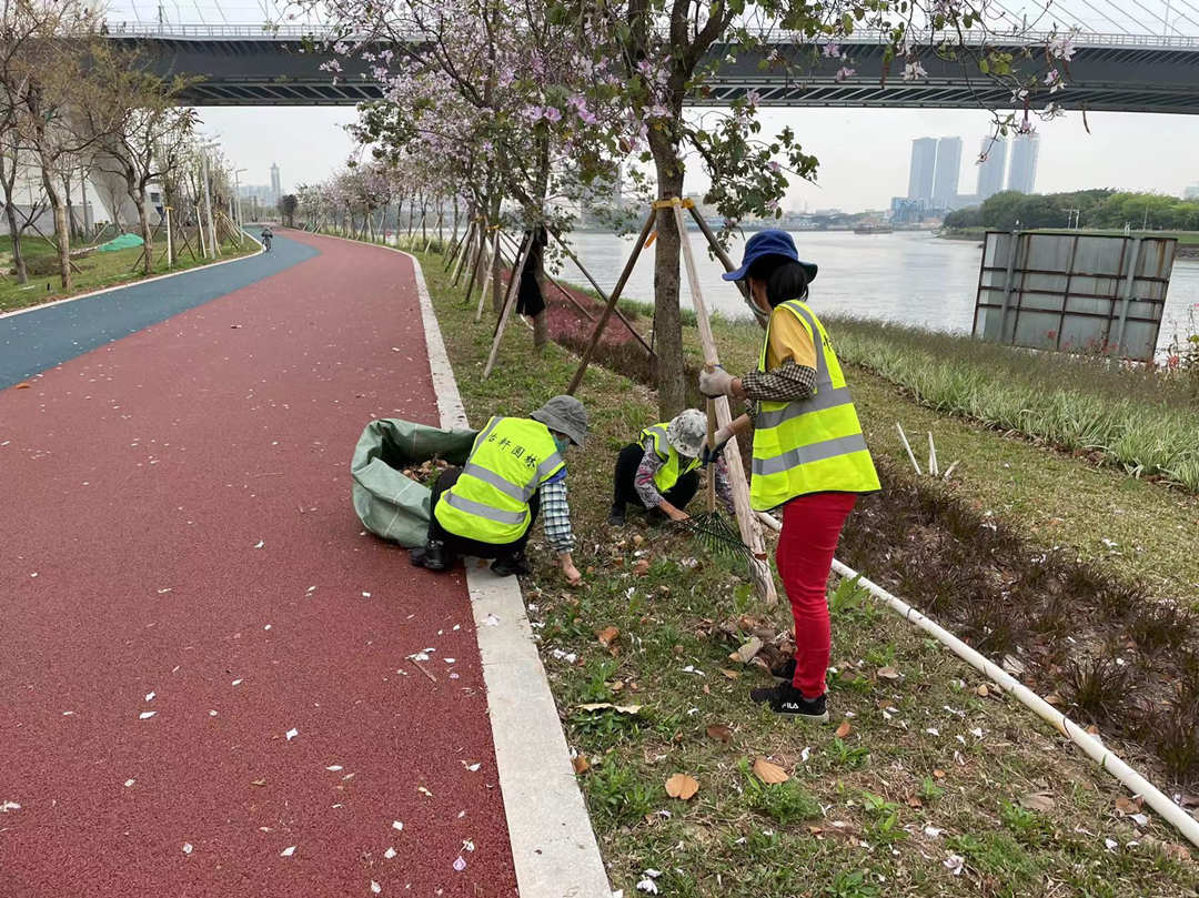 東平水道三山片區秋季綠化養護管理