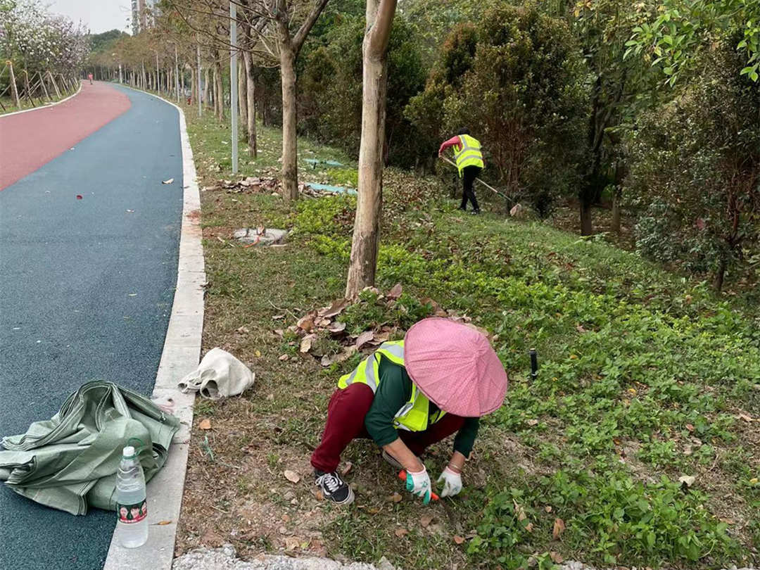 東平水道三山片區河河堤園林綠化養護