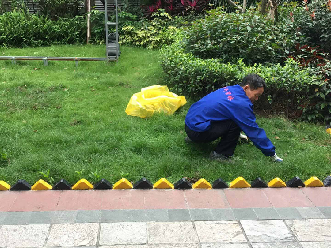 住宅小區(qū)綠化養(yǎng)護(hù)