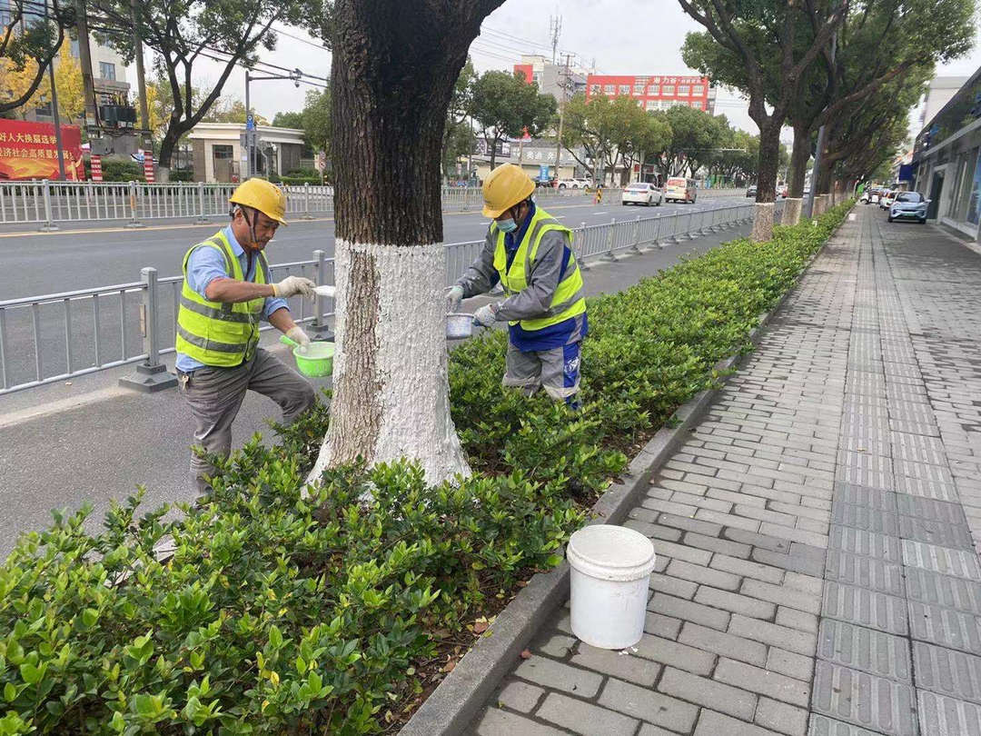 十一月園林綠化養護