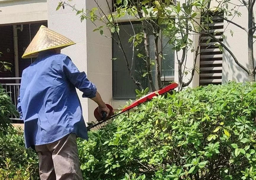 園林綠化養護抹芽