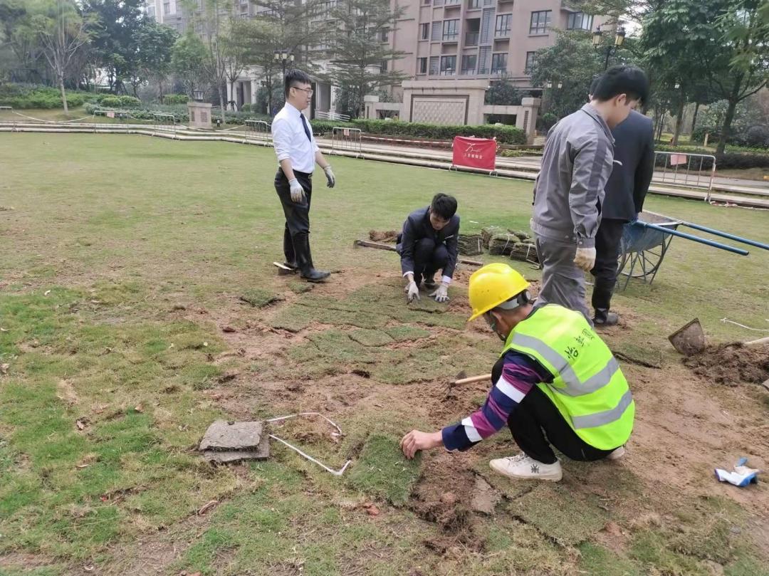 三月份園林綠化養護補植
