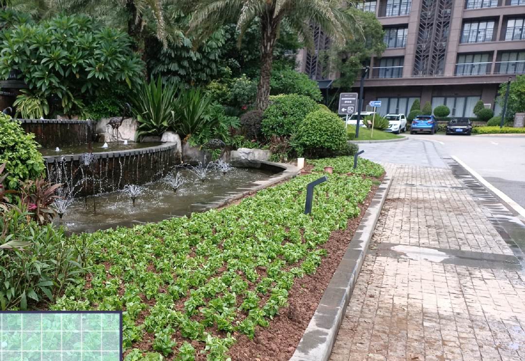 美的鷺湖景區綠化養護