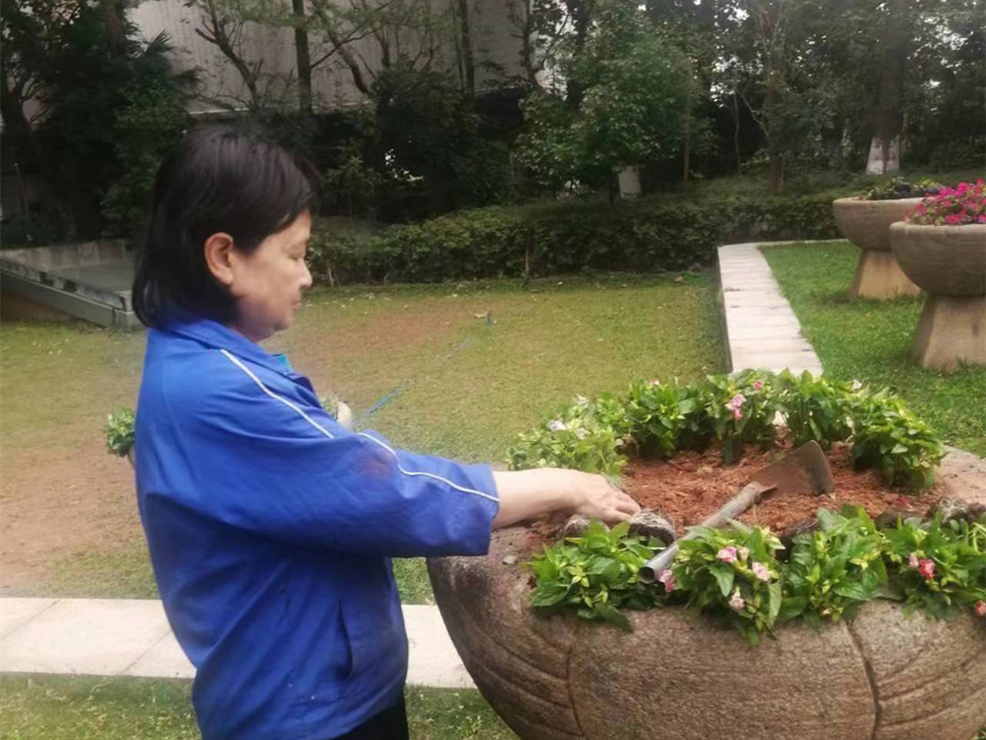 綠化養護補植