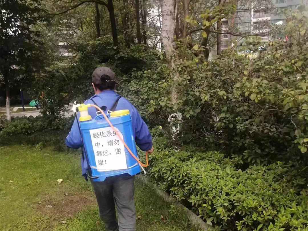 園林綠化養護病蟲害治理工作