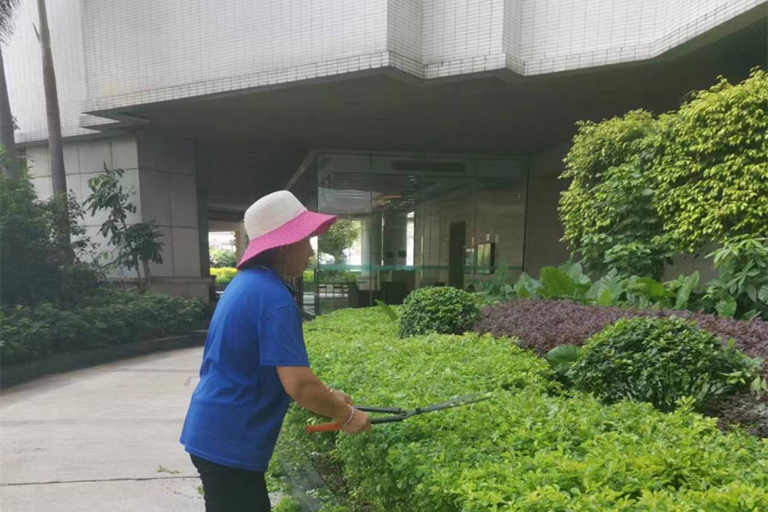 小區綠化養護修剪