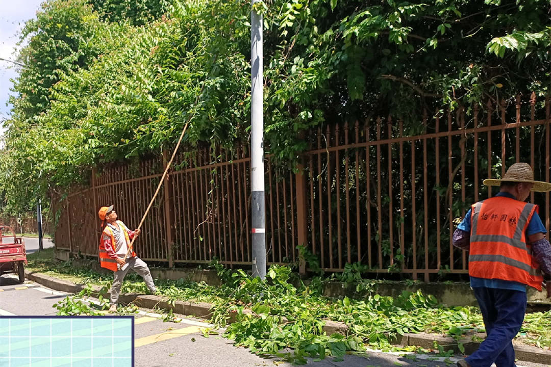 園林綠化養護修剪