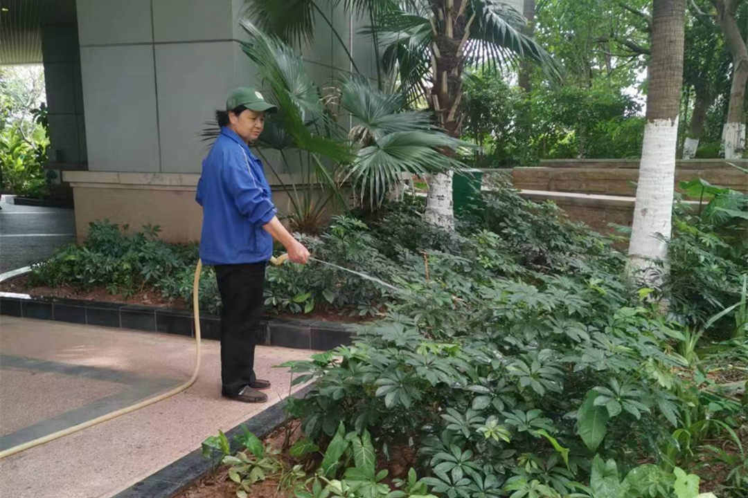 逸翠灣小區(qū)夏季綠化養(yǎng)護澆水