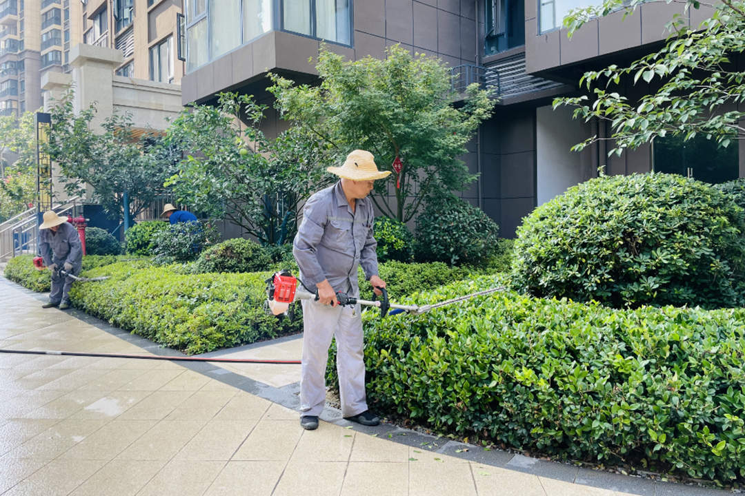 夏季小區(qū)綠化養(yǎng)護修剪