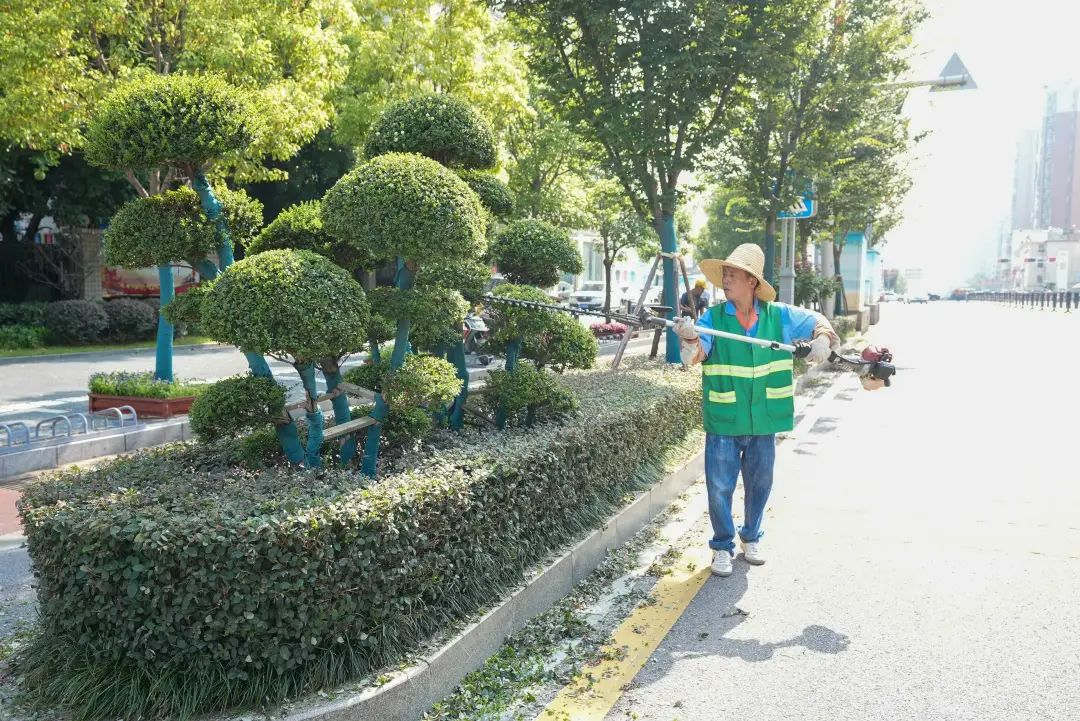 園林綠化養護修剪