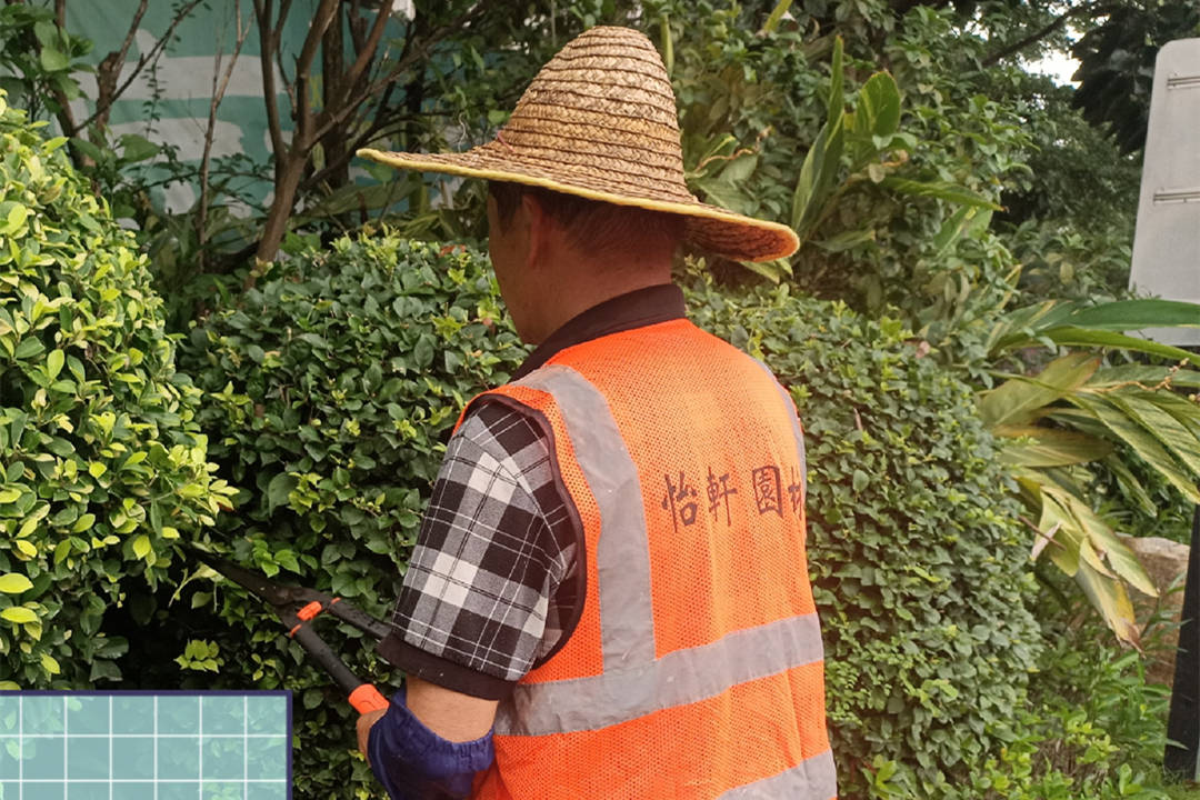 景區園林綠化養護秋季修剪